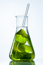 装满海藻和水的烧瓶素材