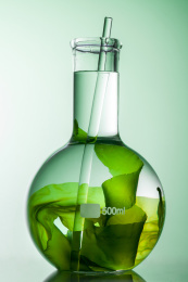 绿色背景中的烧瓶和海藻