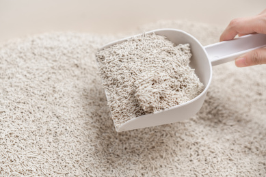 一只手正在用铲子清洁猫砂