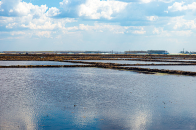 农村机械农耕翻地场景