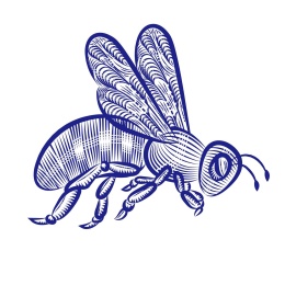 蜜蜂矢量手绘插画