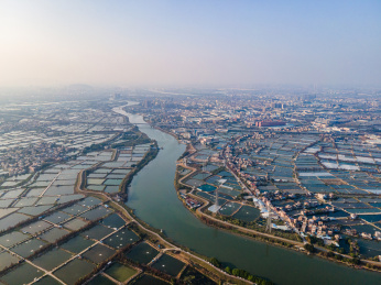 航拍佛山顺德桑基鱼塘农业景观