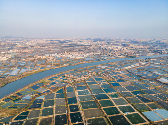 航拍佛山顺德桑基鱼塘农业景观