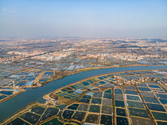 航拍佛山顺德桑基鱼塘农业景观