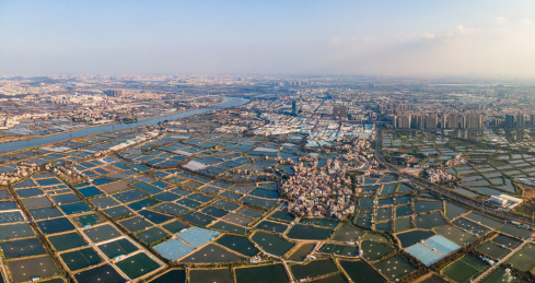 航拍佛山顺德桑基鱼塘农业景观