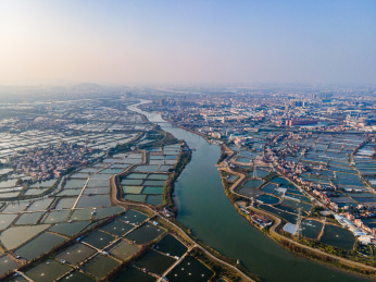 航拍佛山顺德桑基鱼塘农业景观