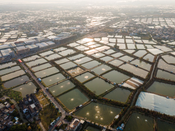 航拍佛山顺德桑基鱼塘农业景观