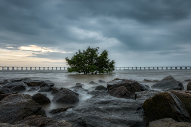 暴风雨来临前的深圳西湾红树林风光