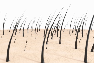 3d渲染的头发微观图像