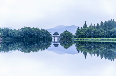 杭州西湖夏天曲院风荷