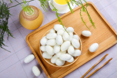 中医药材春蚕茧