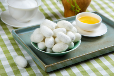 中医药材春蚕茧