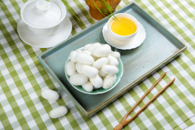 中医药材春蚕茧