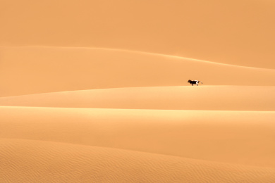 中国阿拉善左旗腾格里沙漠