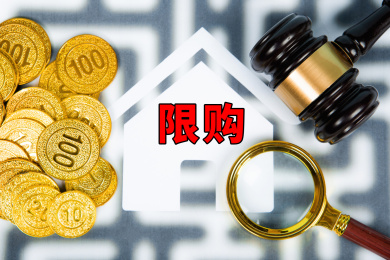 房地产概念：限购