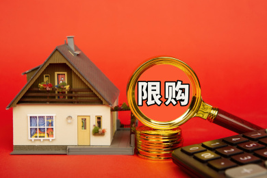 房地产概念：限购