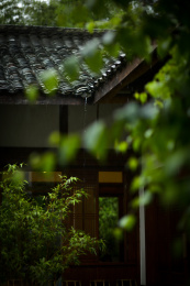 雨天的川西四合院民居