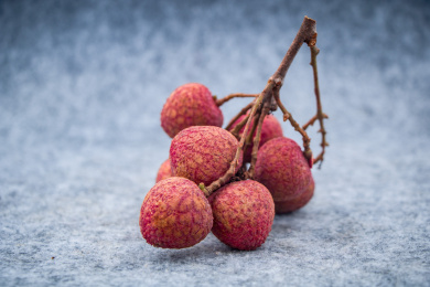 茂名高州特产荔枝