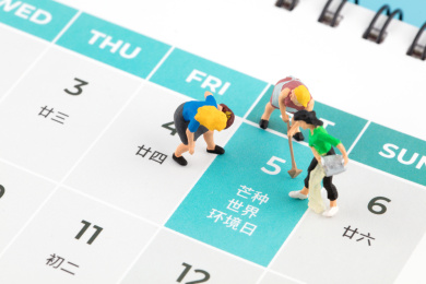台历上的芒种节气和种地的人偶