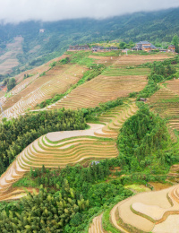 广西桂林龙胜大寨梯田
