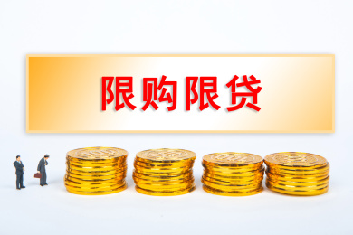 限购限贷概念