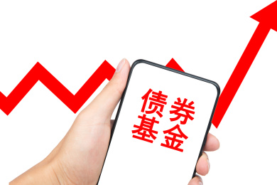 债券基金概念