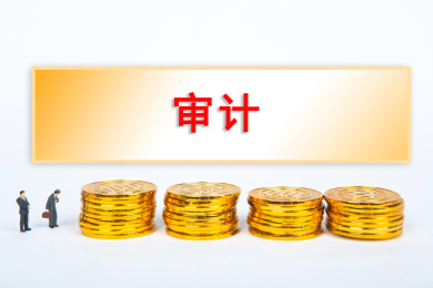 审计概念