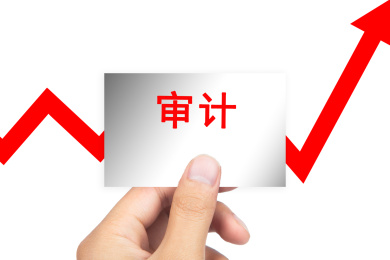 审计概念