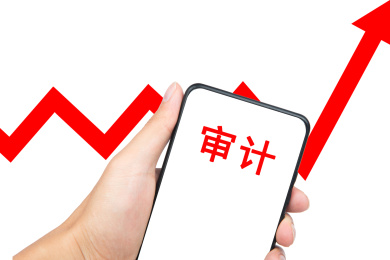 审计概念