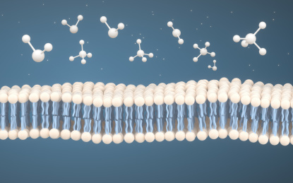 细胞膜和分子结构 3D渲染