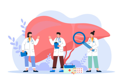 医生治疗肝脏相关疾病矢量插画