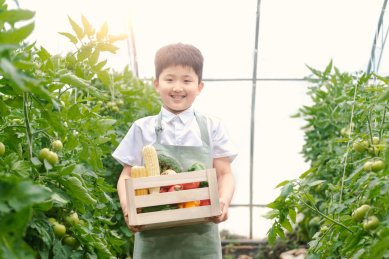 学龄儿童在有机农场里采摘