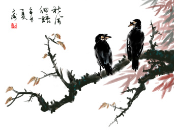 国画八哥