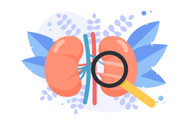 肾脏检查医疗健康矢量插画