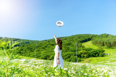 一名站在雏菊花地背手拿帽子的女人
