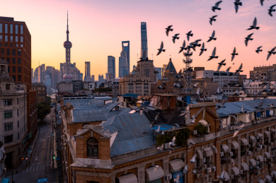 中国上海网红地标楼鸽子楼