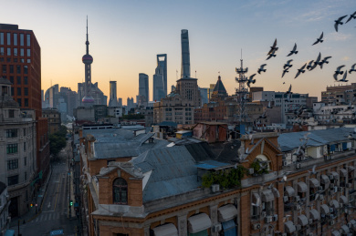 中国上海网红地标楼鸽子楼