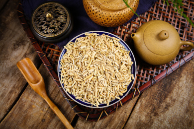 传统中医中药材白茅根