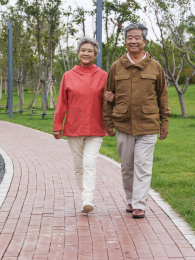 快乐的老年夫妇在公园散步
