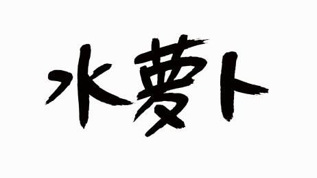 中国风书法汉字字体设计水萝卜