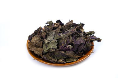 调味香料紫苏叶干