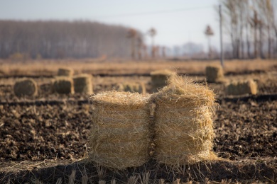 秸秆综合利用