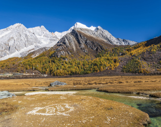 中国四川稻城亚丁洛绒牛场秋景