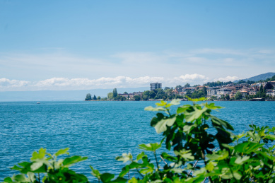 瑞士莱芒湖自然风光