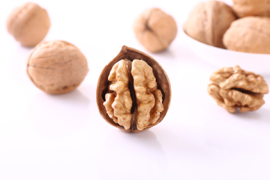 单个核桃 坚果 核桃