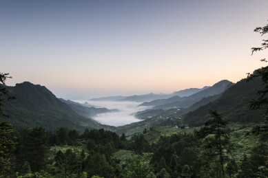 中国重庆万盛黑山谷晨雾