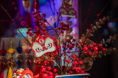 中国广东广州市荔湾区恩宁路永庆坊历史街区