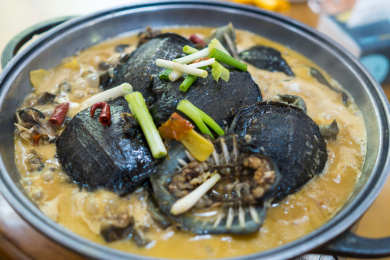 红烧沙鳖子甲鱼