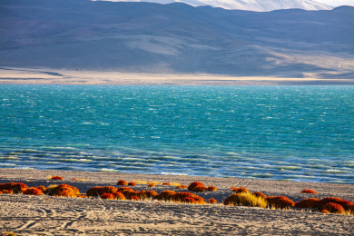 中国西藏阿里鬼湖拉昂错湖和湖边的彩色植物