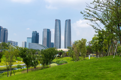 成都金融城建筑和交子公园绿化草坪